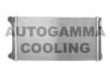 AUTOGAMMA 102061 Radiator, engine cooling